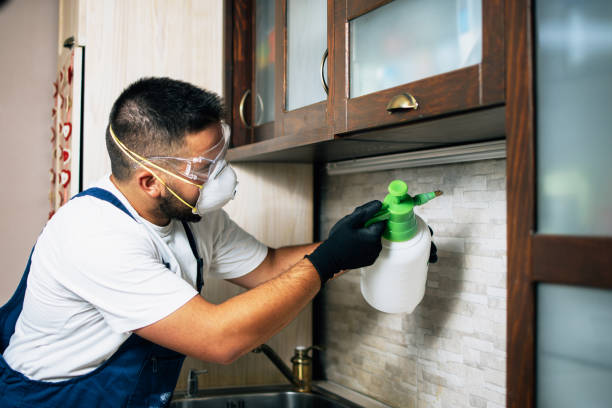 Wildlife Control Services in Harbor Hills, OH