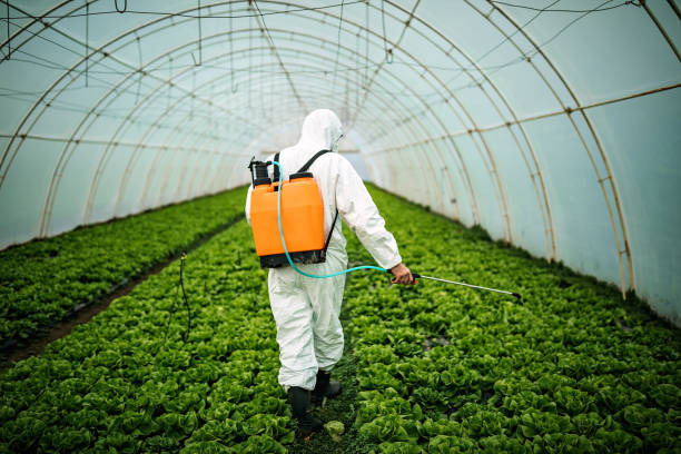 Best Pest Prevention Services  in Harbor Hills, OH