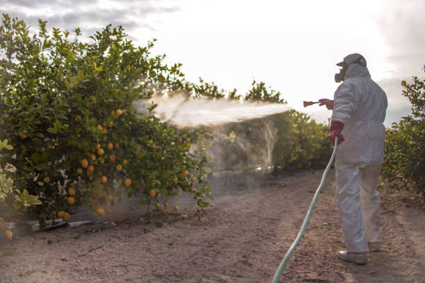 Best Pest Control for Businesses  in Harbor Hills, OH