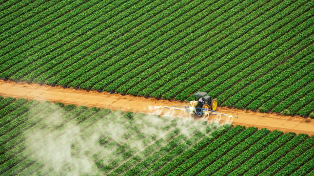 Best Pest Removal Services  in Harbor Hills, OH