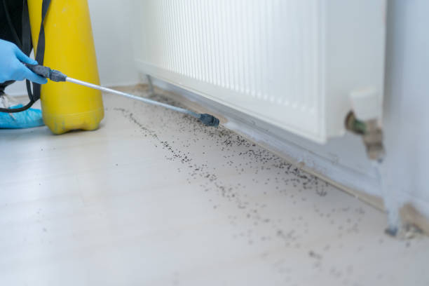 Best Best Pest Control Companies  in Harbor Hills, OH