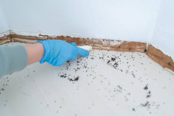 Best Residential Pest Control  in Harbor Hills, OH